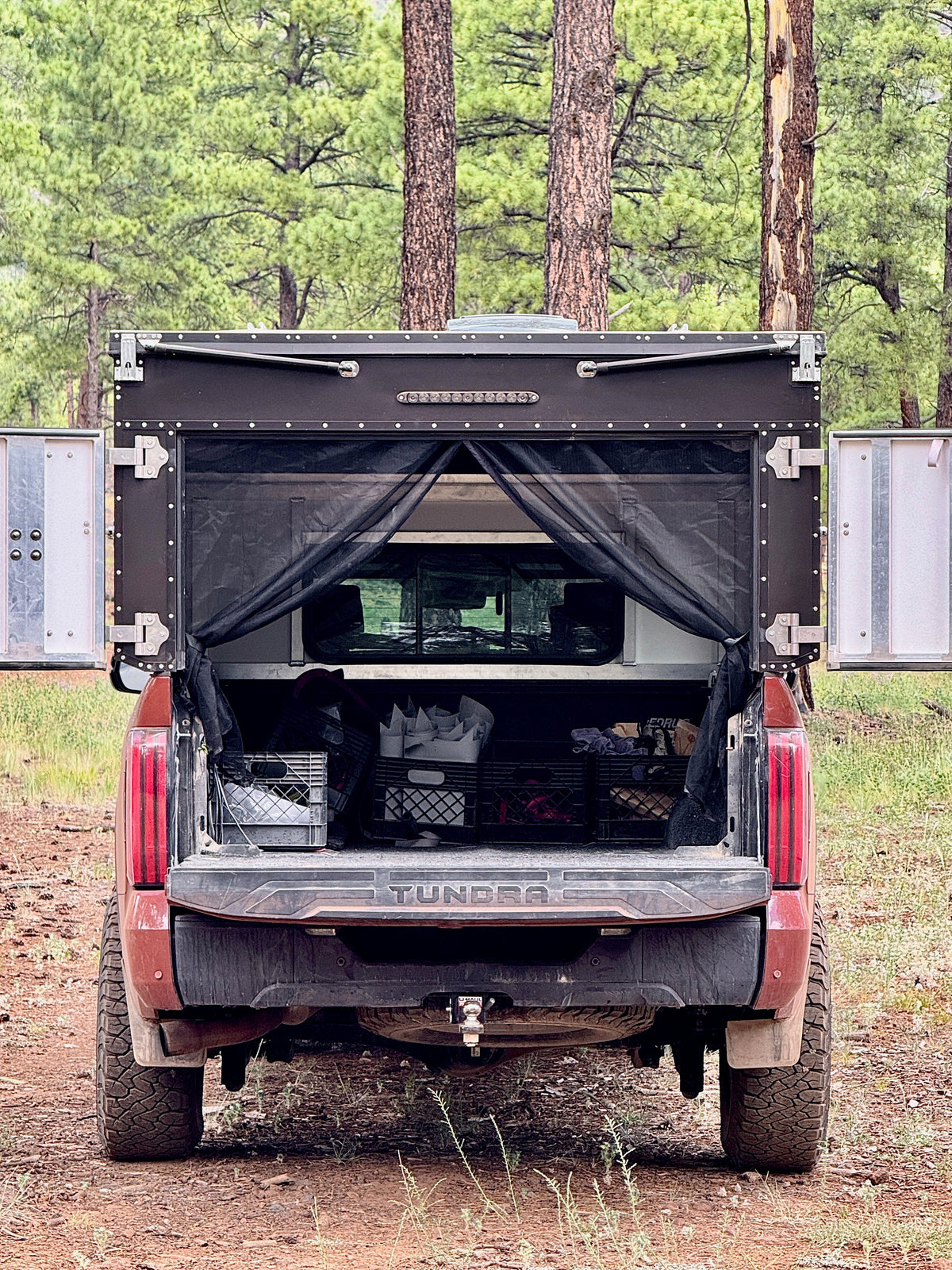 Rear Door Bug Net