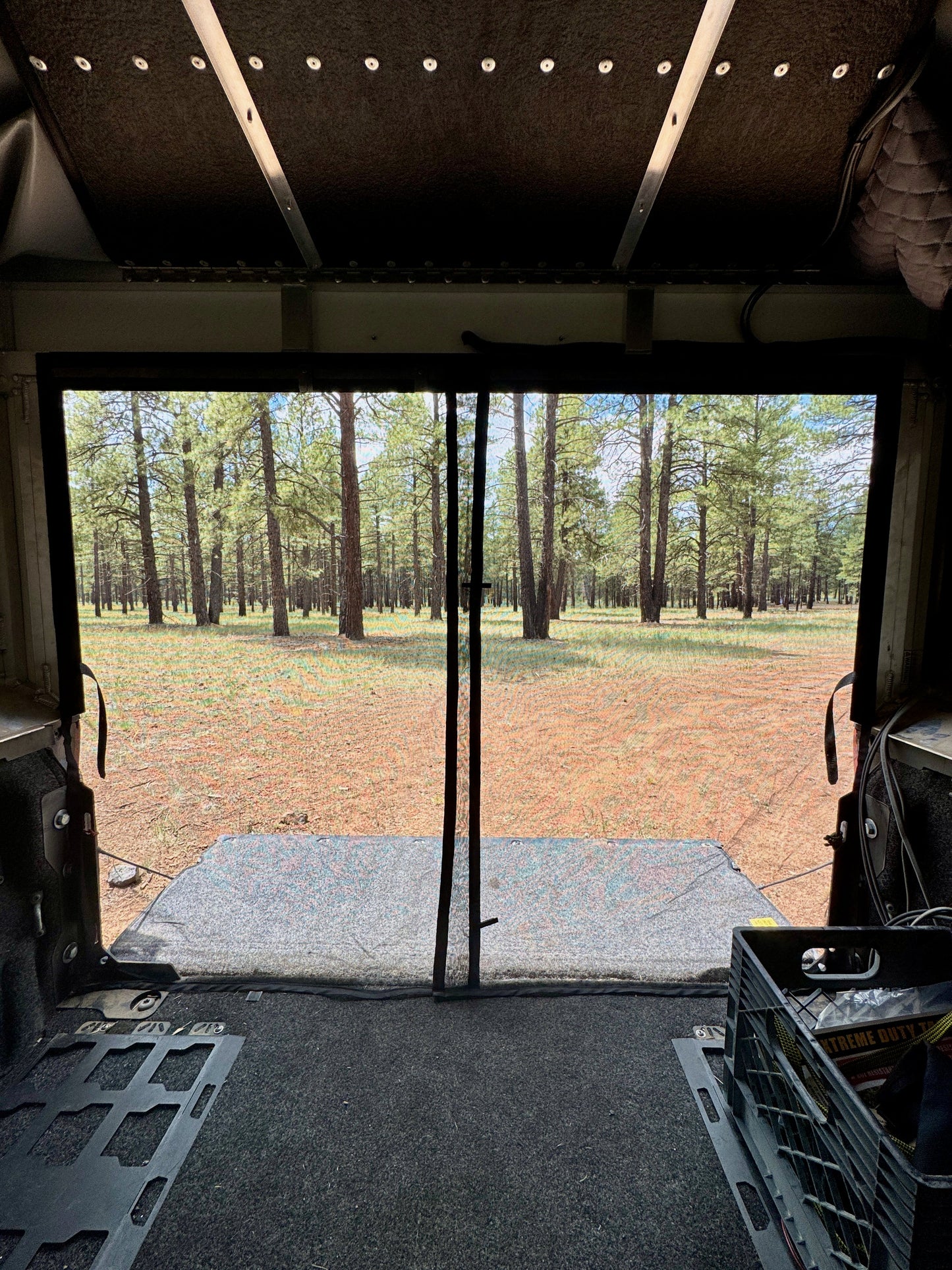Rear Door Bug Net